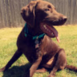 Meet your Posher, Daryn